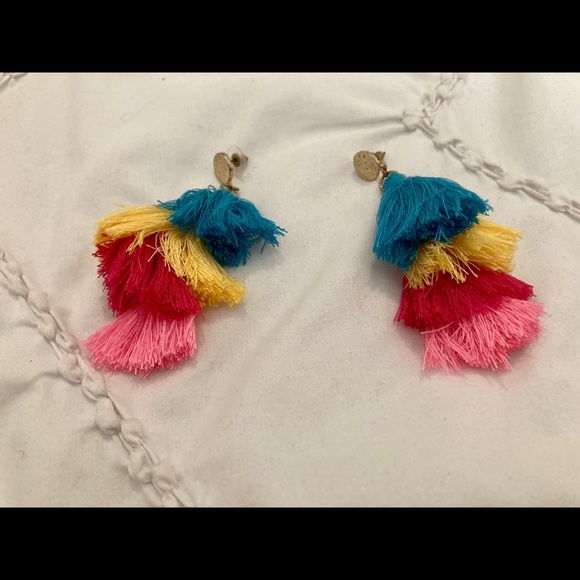 Fun Tassel Earrings - Picture 3 of 3